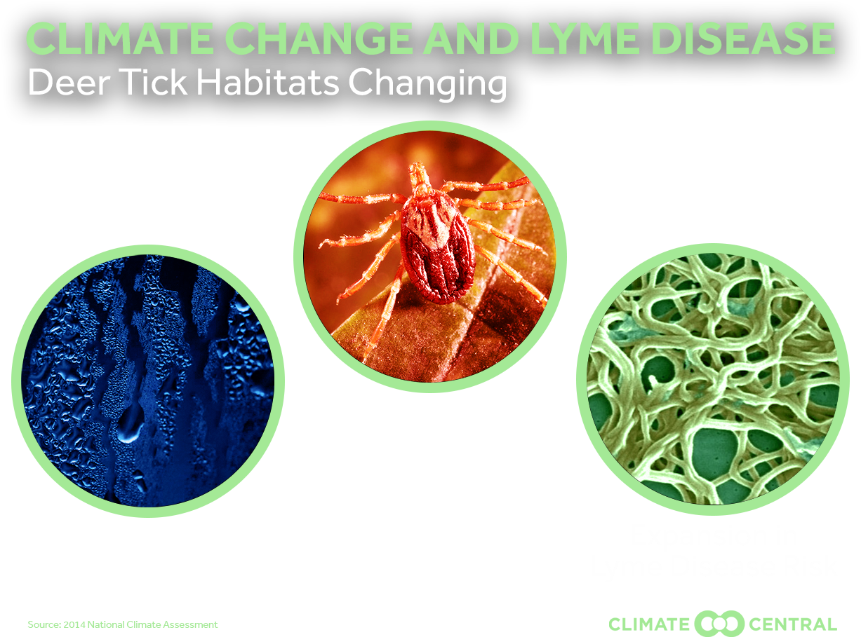 Jpg • Png - Circle Clipart (1920x1080), Png Download