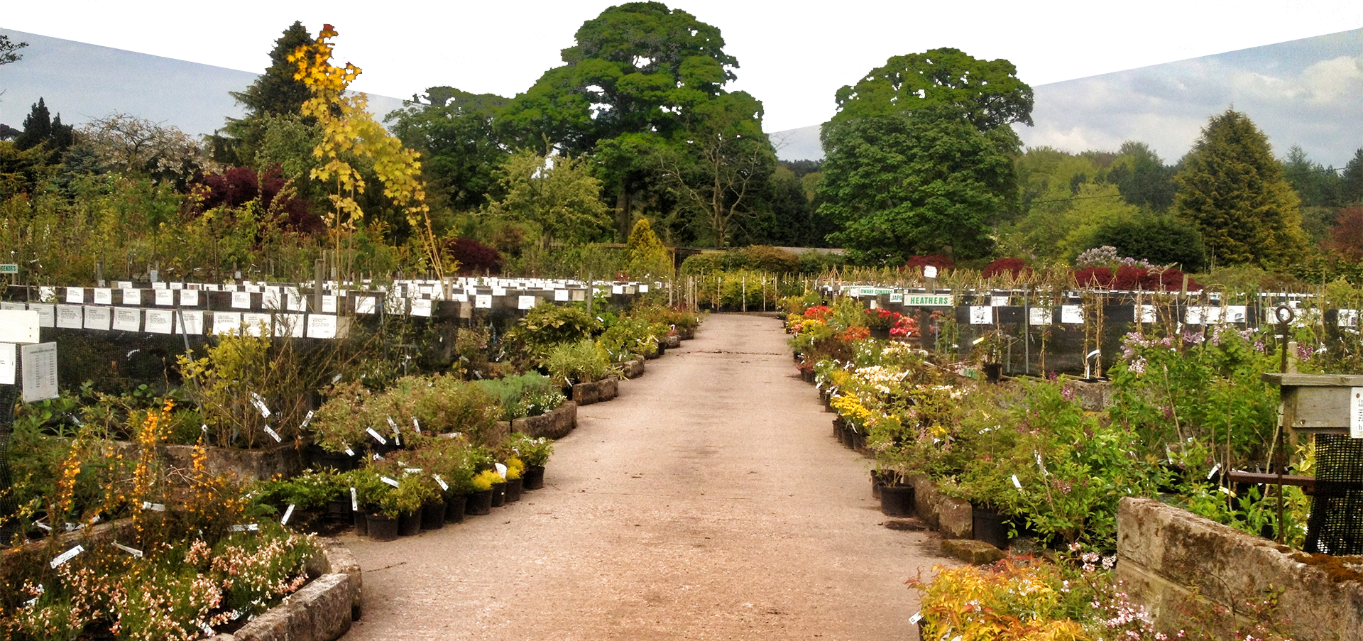 Our Aim - Botanical Garden Clipart (1920x903), Png Download