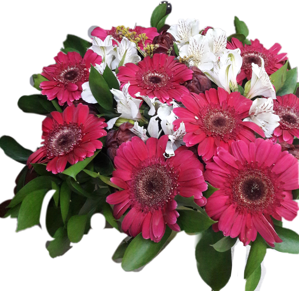 #flowers #bucket #red #redwhite #white #redflowers - Barberton Daisy Clipart (1024x998), Png Download