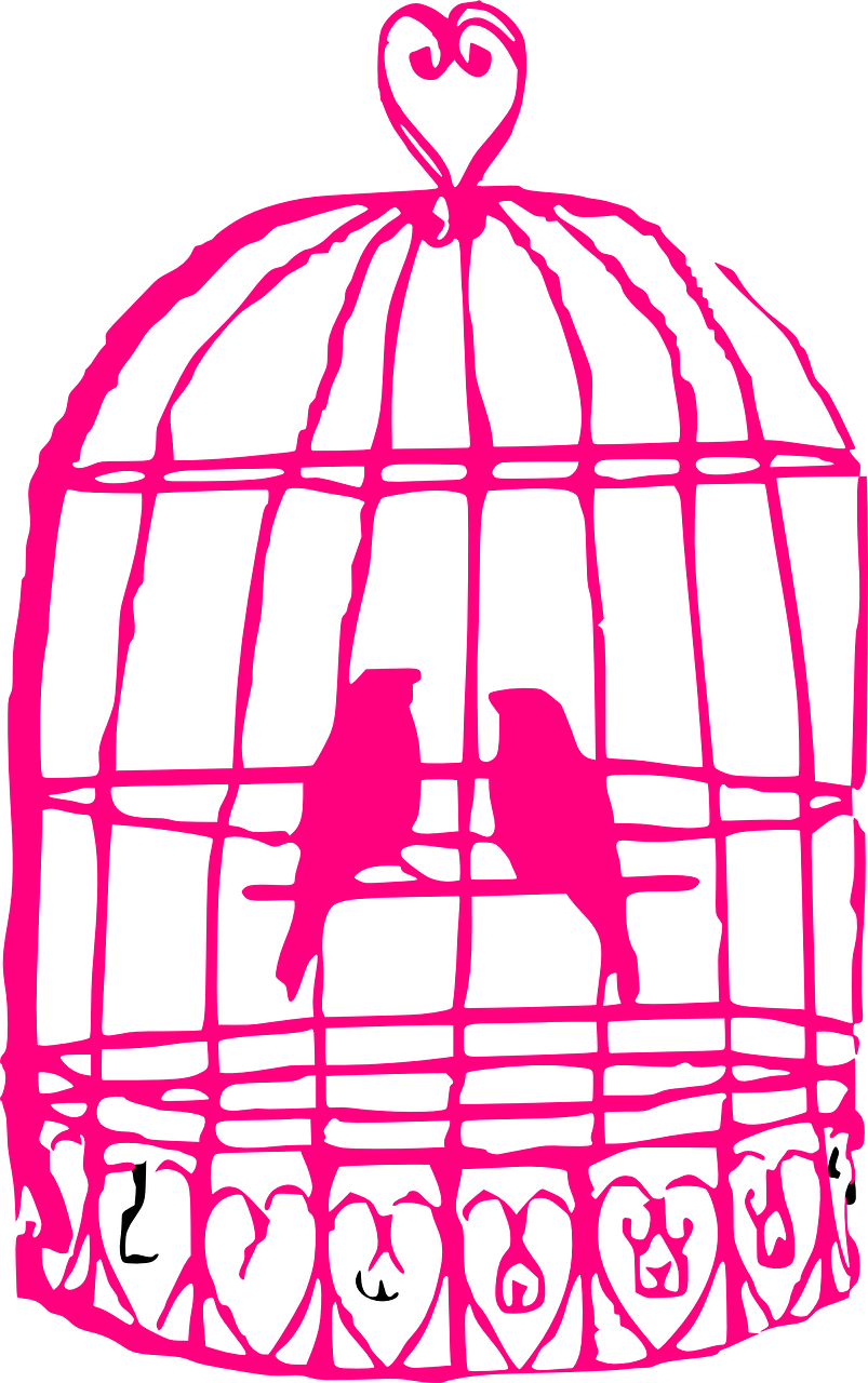 Bird In Cage Drawing Clipart (803x1280), Png Download