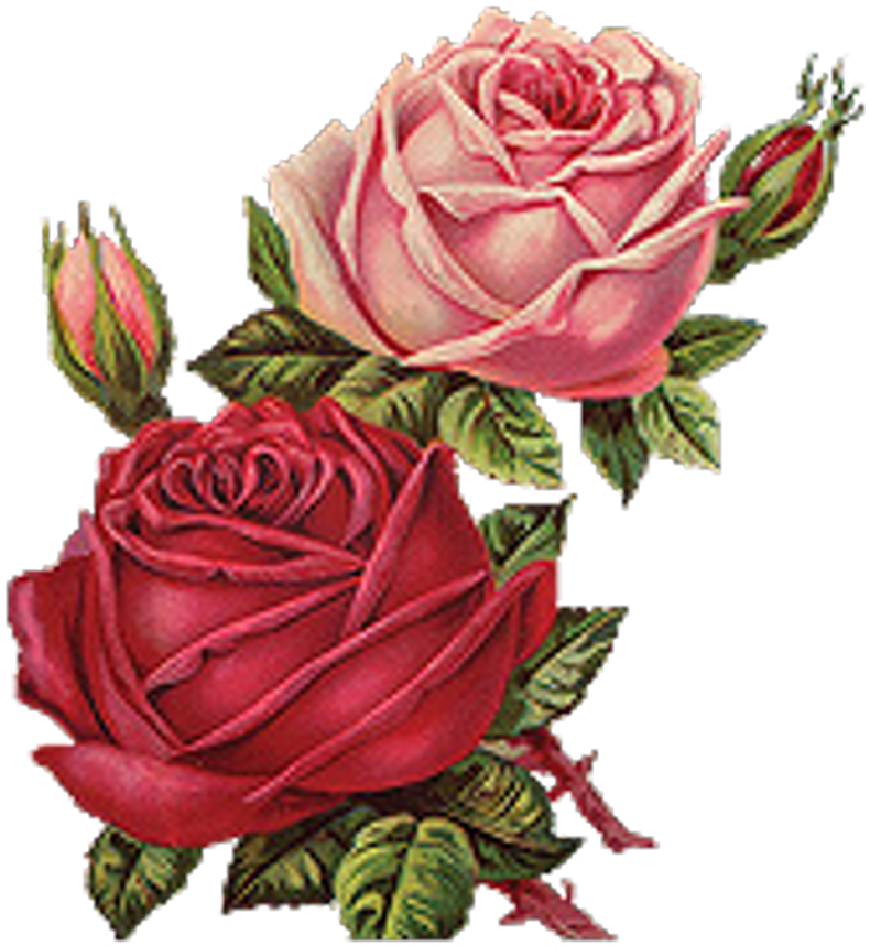 Flowers Sticker - Red Roses Vintage Png Clipart (1024x1024), Png Download