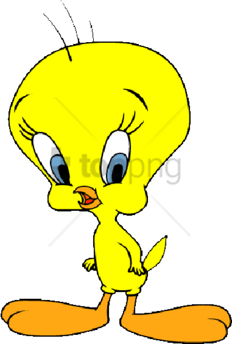 Free Png Tweety Bird Vector With Transparent Background - Clipart Tweety Bird (480x710), Png Download