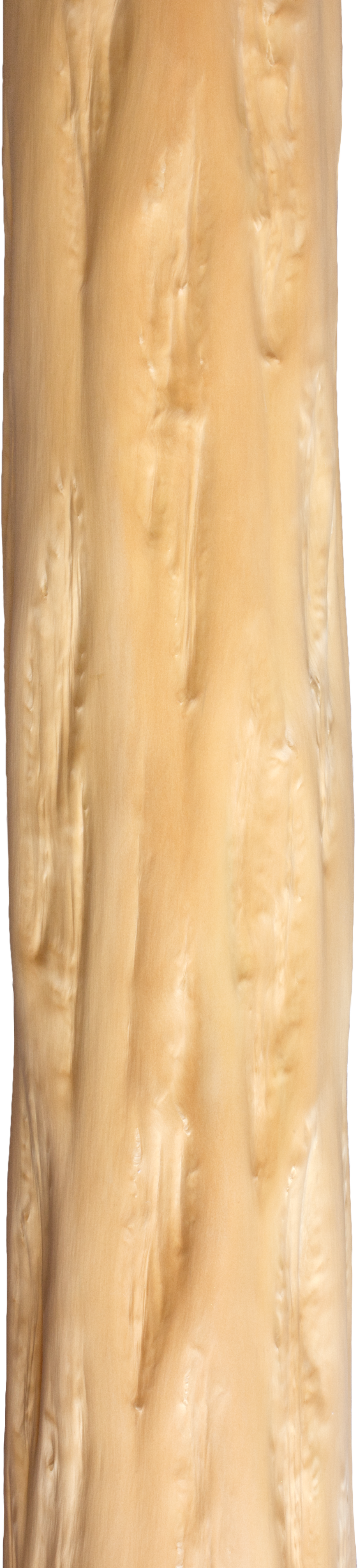 Kitayama Sugi Jinzo Henshibo - Tree Wood Pic Png Clipart (3723x5585), Png Download