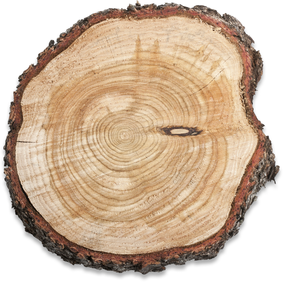 Wood-cut - Lumber Clipart (568x566), Png Download