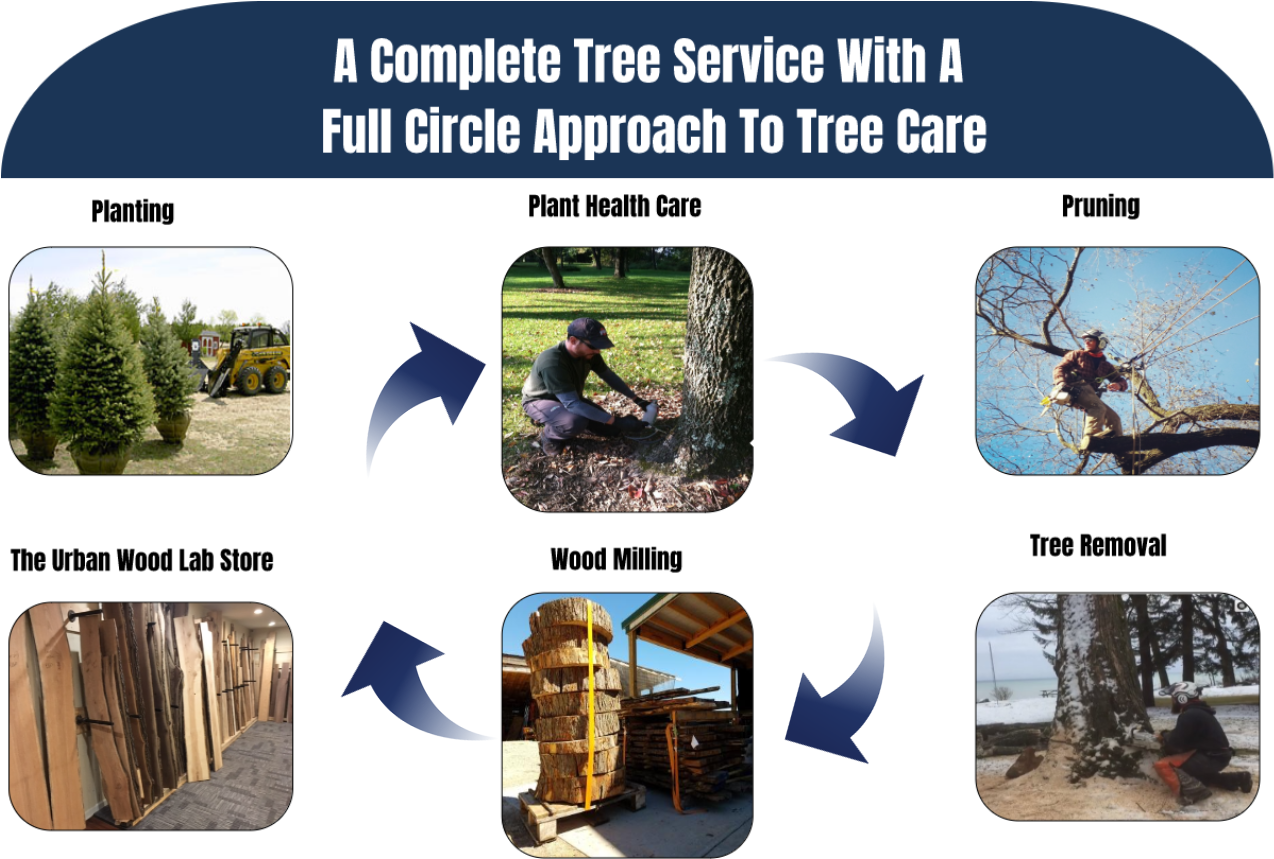 Nationally Accredited By The Tree Care Industry Association - Commercial Motor Clipart (1440x900), Png Download