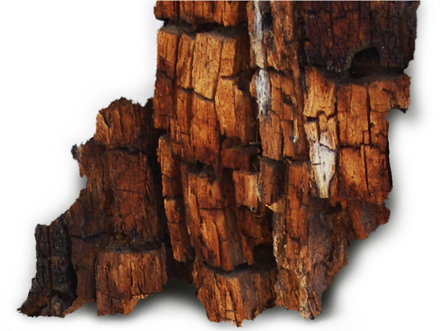 Brown Rot - Wood Decay Png Clipart (925x653), Png Download