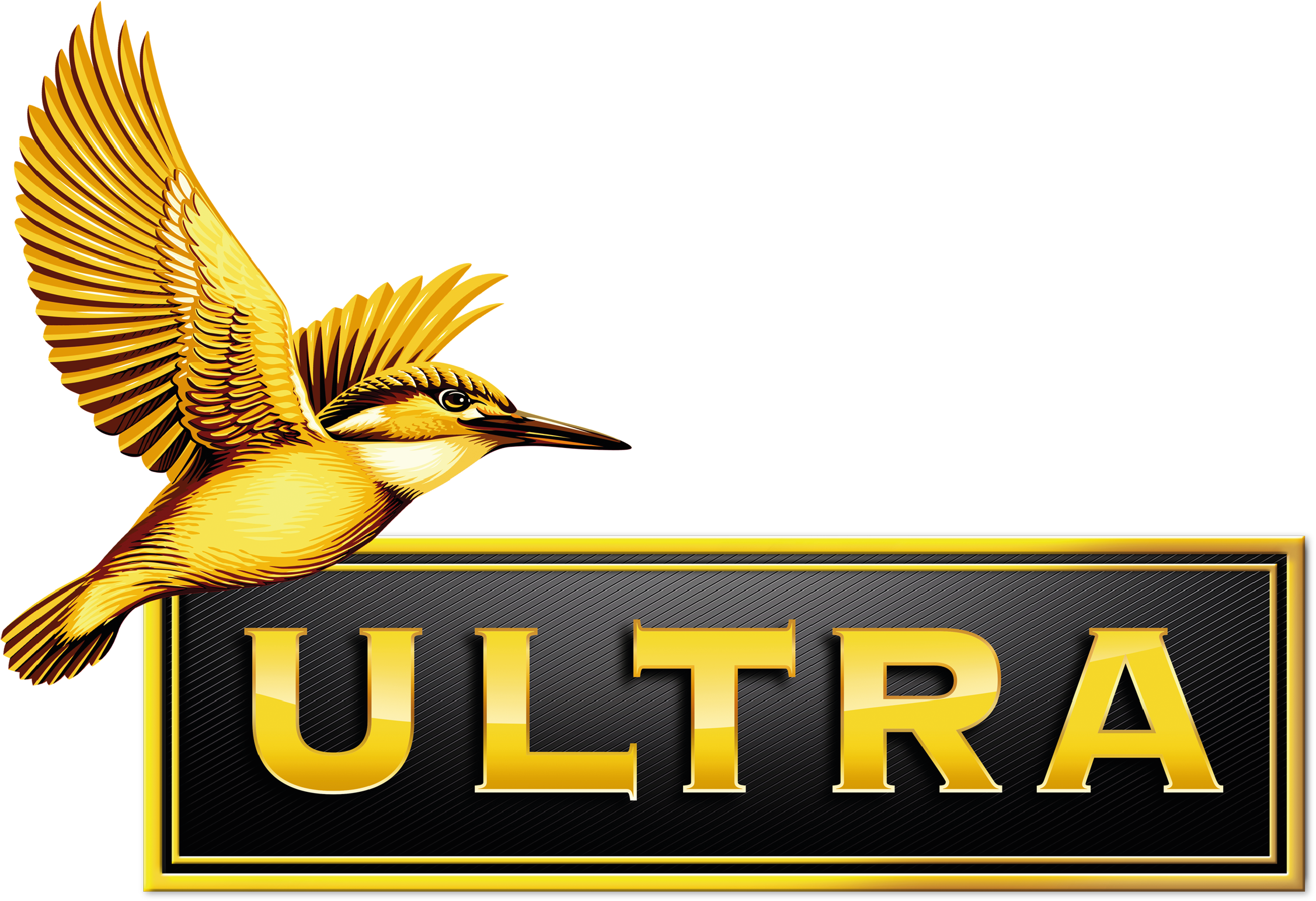 Sponsors And Partners - 2018 Kingfisher Ultra Indian Derby Clipart (2690x1808), Png Download