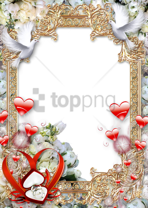 Free Png Download Wedding Photo Frame Png Images Background - Wedding Photo Frames Png Clipart (480x673), Png Download