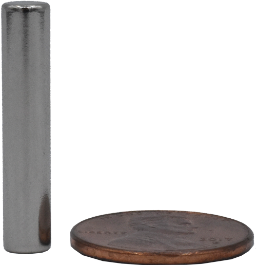 Hardwood Clipart (600x600), Png Download