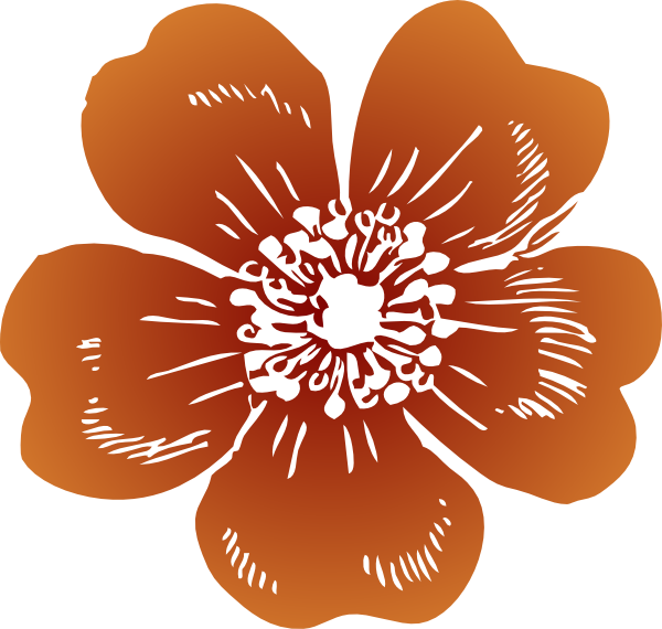 Wild Rose Vector Free Download Clipart (600x570), Png Download