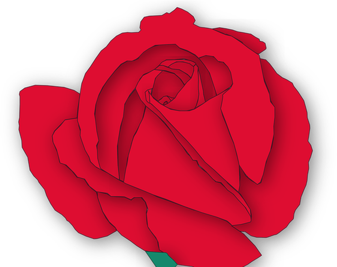 Rose Flower Flora Free Vector Graphic On Pixabay - Floribunda Clipart (1368x855), Png Download