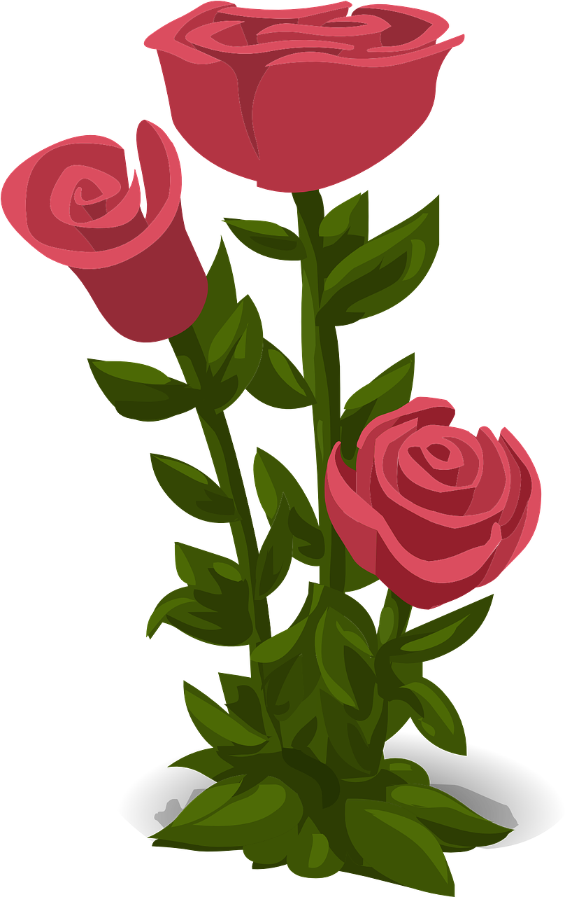 Wedding, Roses, Pink, Flowers, Floral, Nature - Hoa Hong Vector Png Clipart (808x1281), Png Download