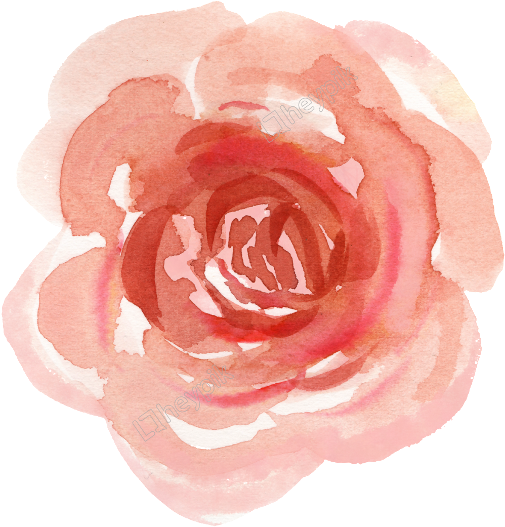 1024 X 1073 2 0 - Floribunda Clipart (1024x1073), Png Download