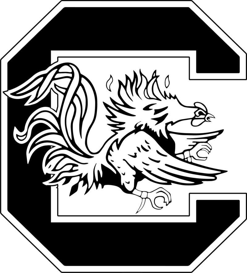 University Of South Carolina Women&rsquos Soccer Show - South Carolina Gamecocks Svg Clipart (800x883), Png Download