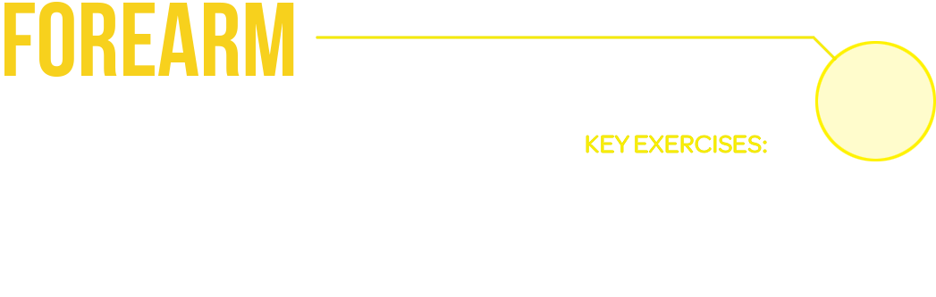 Of These From Beartrap Therapy - Parallel Clipart (1086x402), Png Download