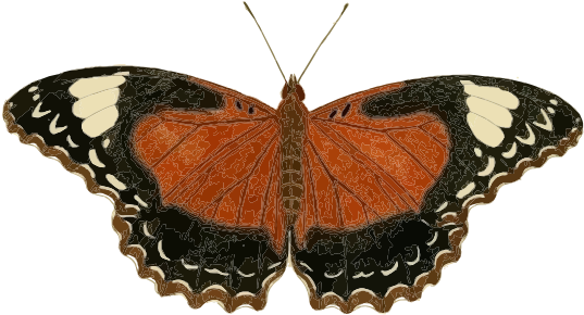 Cethosia Cydippe Butterfly Insect Borboleta Inseto - Clip Art - Png Download (555x785), Png Download