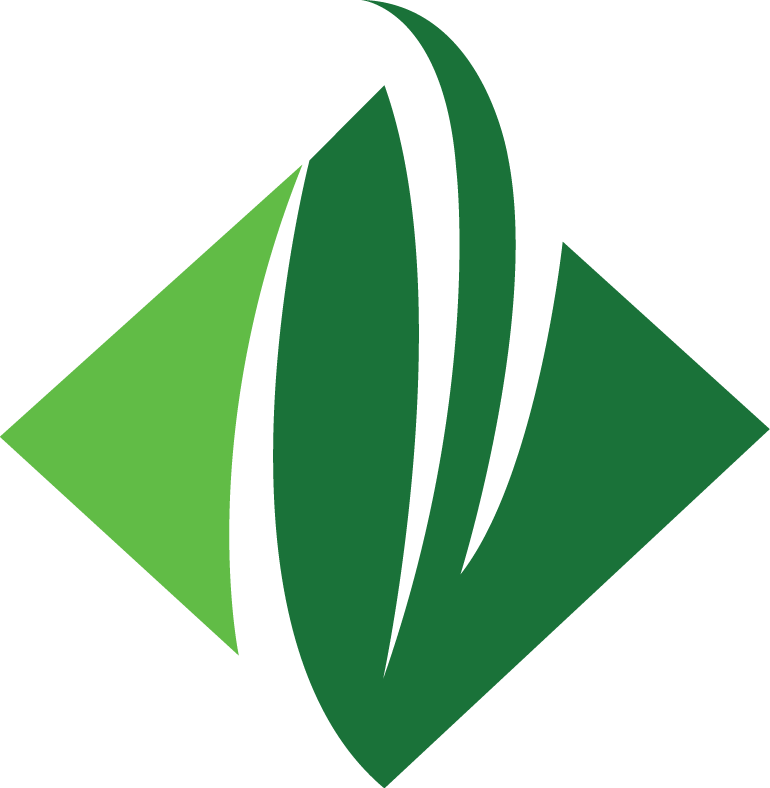 Evergreen Png Clipart (770x788), Png Download