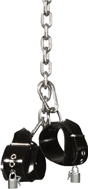 Photo Shacklescopy - Photobucket Clipart (1024x1024), Png Download