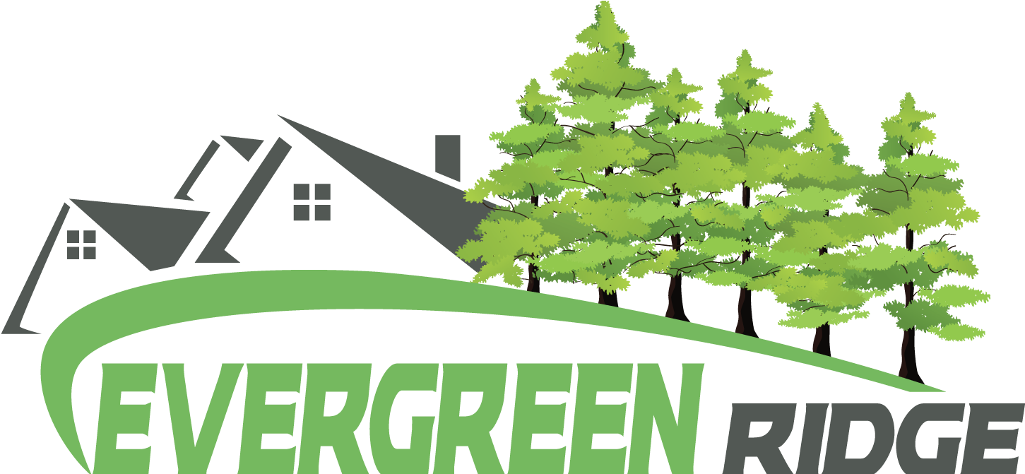 About Evergreen Ridge Estates - Christmas Tree Clipart (1560x670), Png Download
