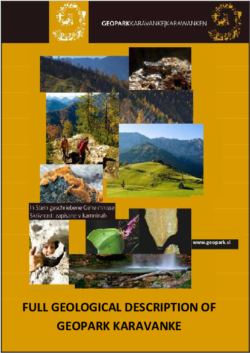 Pdf - Flyer Clipart (595x842), Png Download