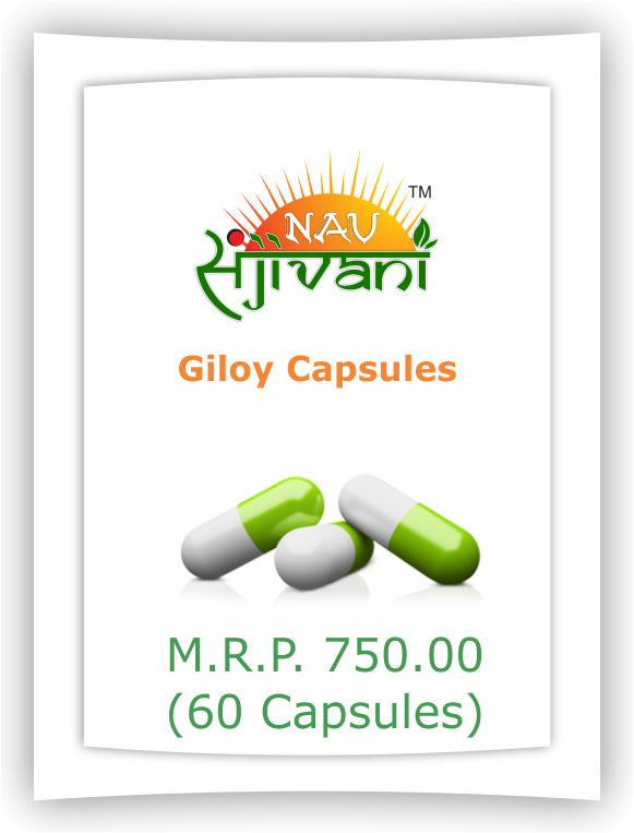 Giloy 60 Capsules - Capsule Clipart (581x763), Png Download