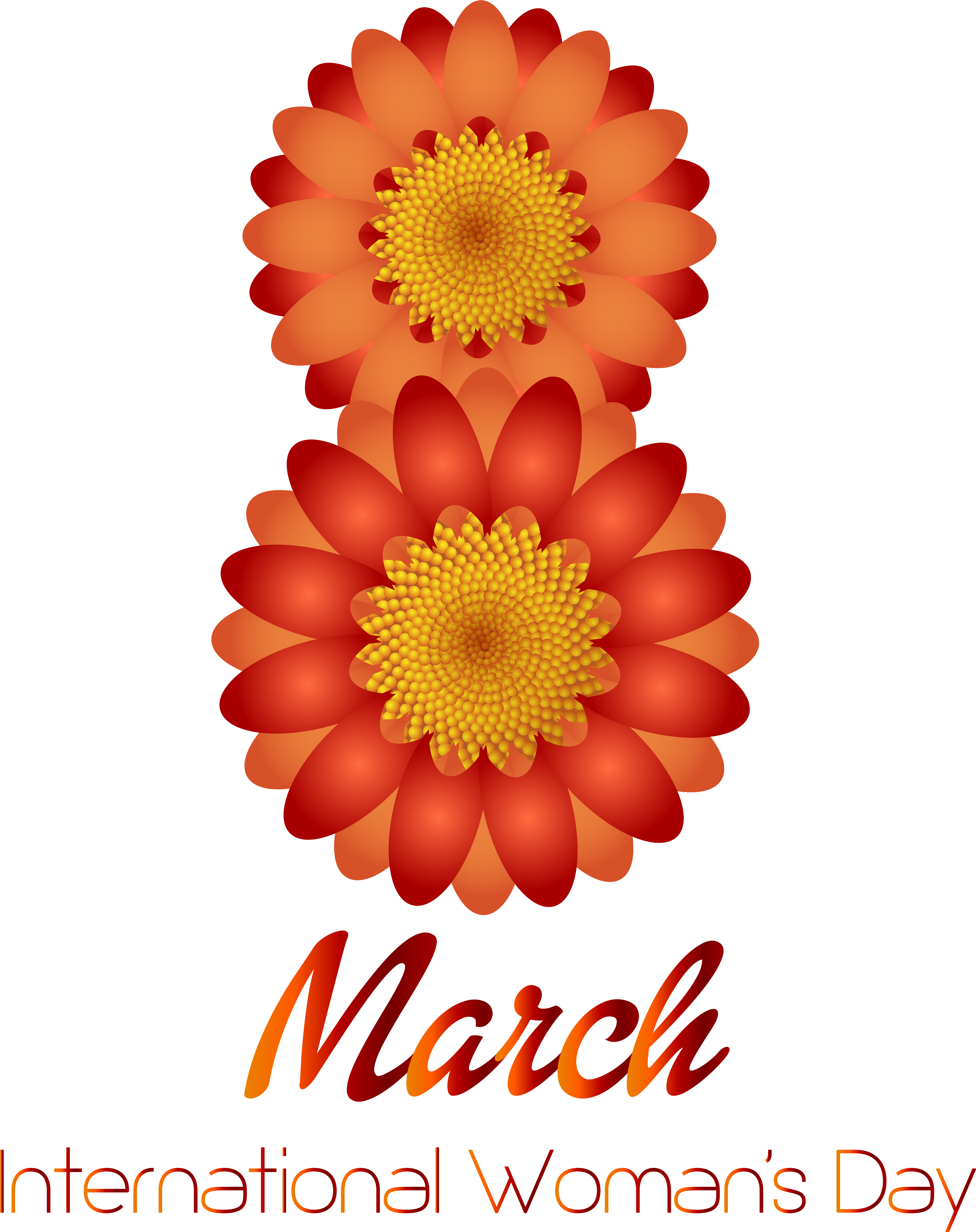March 8th Happy Women's Day Transparent Png Clip Art (6529x8000), Png Download