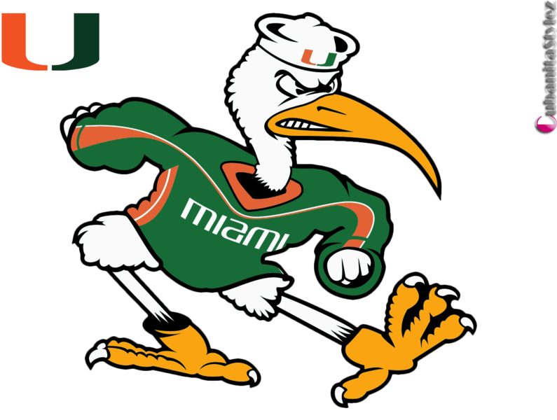 Miami Hurricanes Um - University Of Miami Cat Clipart (795x600), Png Download