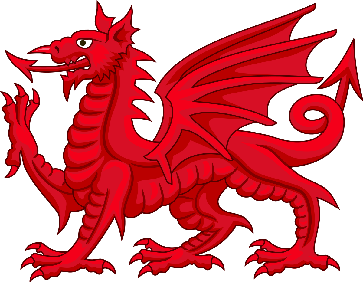 Welsh Dragon - Welsh Dragon Transparent Clipart (1200x932), Png Download