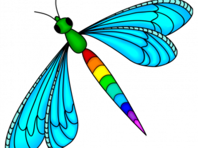 Dragonfly Clipart Flying Dragon - Насекомые Раскраски - Png Download (640x480), Png Download