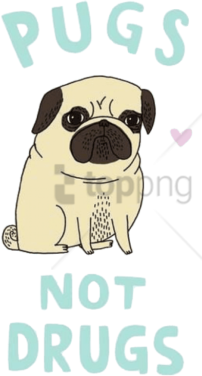 Free Png Download Shirt Png Images Background Png Images - Pugs Not Drugs Shirt Clipart (480x798), Png Download
