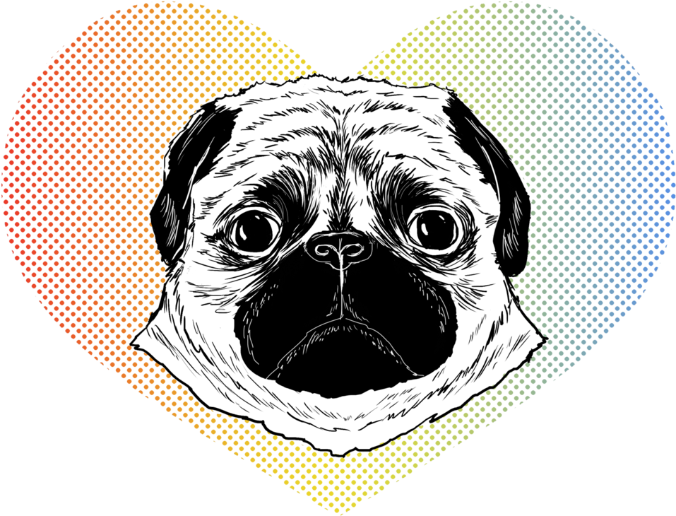 Patrycjaruman Pugface - Pug Clipart (1000x786), Png Download