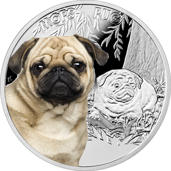 Niue 2015 Man's Best Friends - Moneta Z Mopsem Clipart (600x600), Png Download