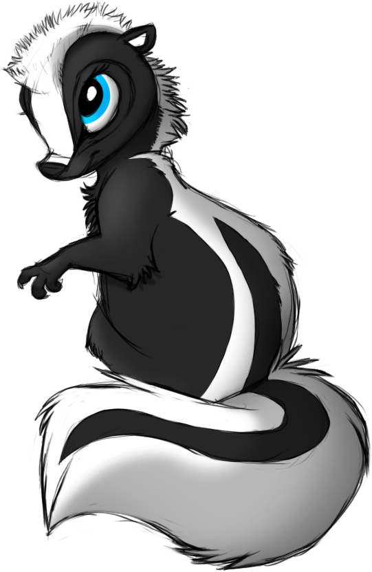 Skunk Png - Skunk Drawing Clipart (600x900), Png Download