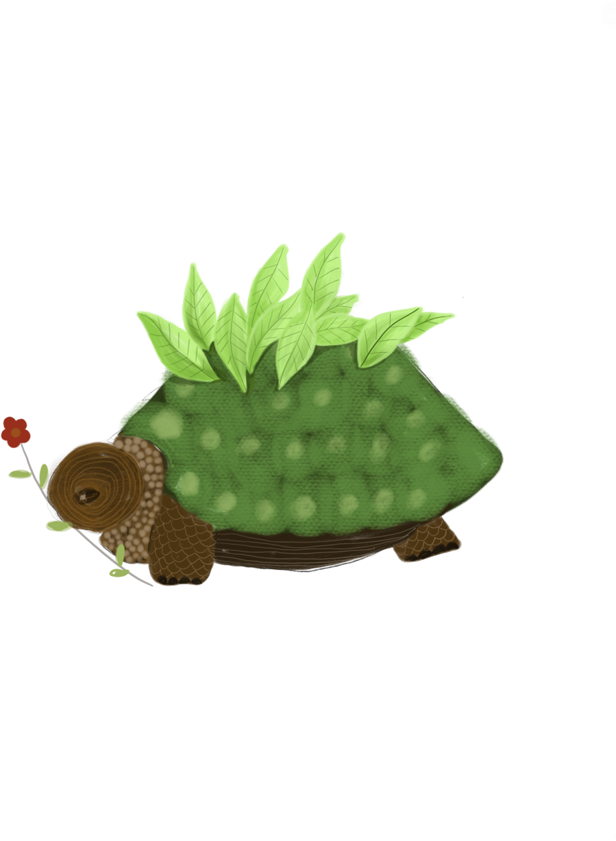 Tortoise Clipart (1000x1415), Png Download