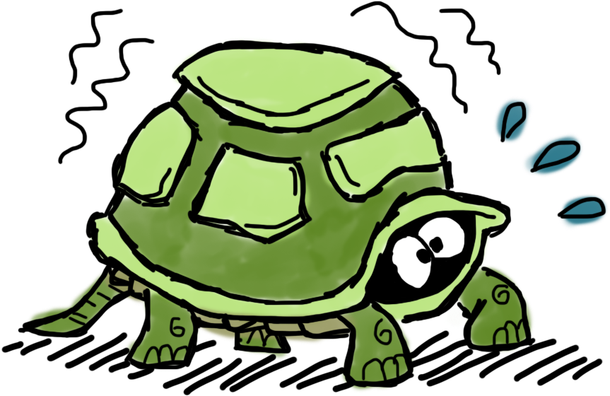 Tortoise Clipart (1000x1000), Png Download