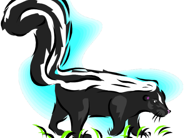 Skunk Clipart Gril - Png Download (640x480), Png Download