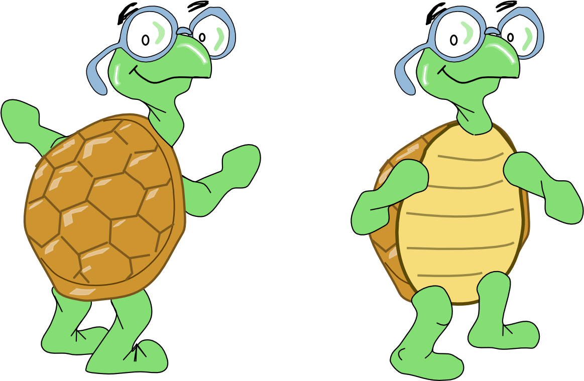 Turtles - Turtle Clipart (1189x758), Png Download