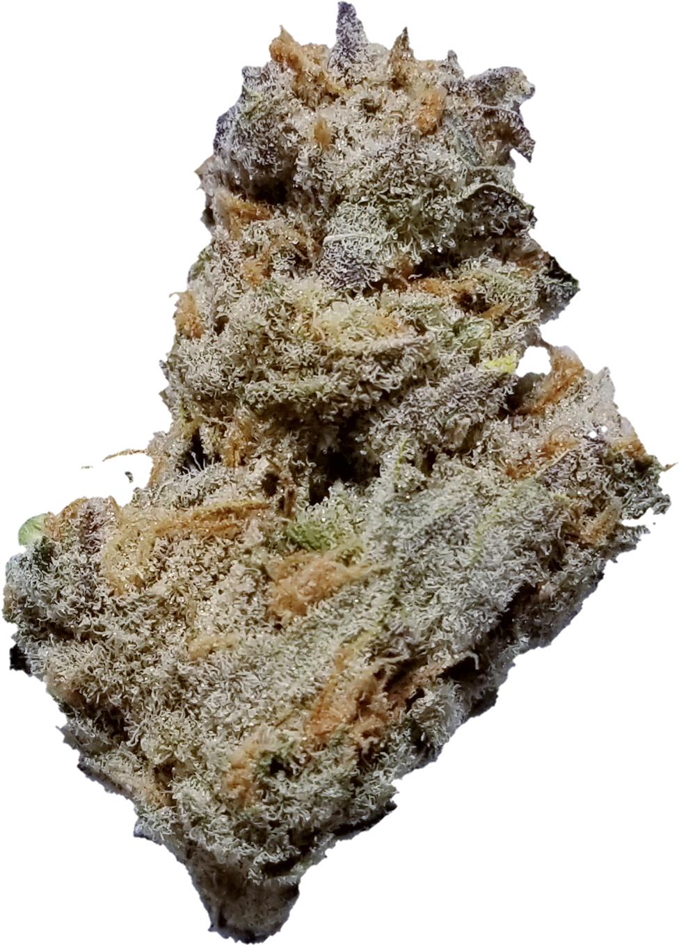 Lime Skunk - Igneous Rock Clipart (1181x1530), Png Download