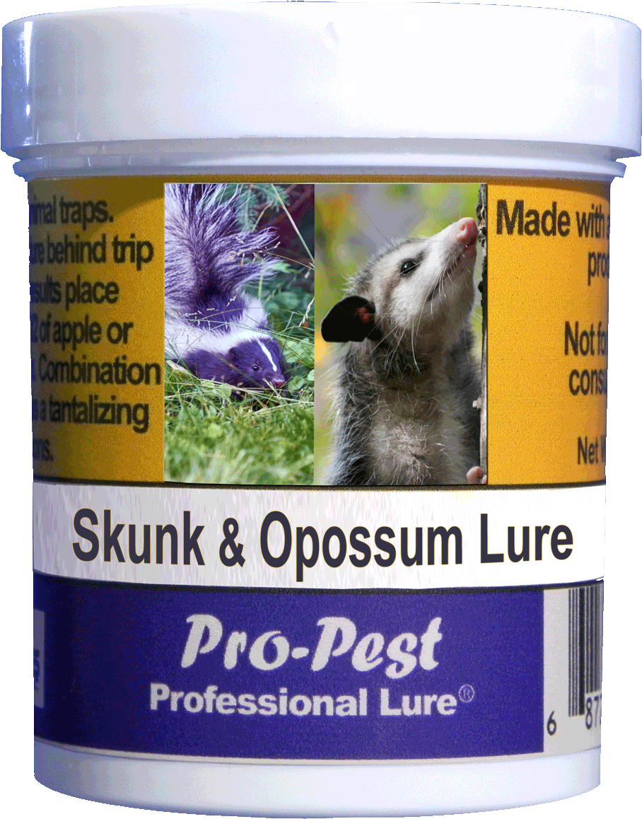Pro-pest Skunk - Skunk Clipart (1200x1200), Png Download