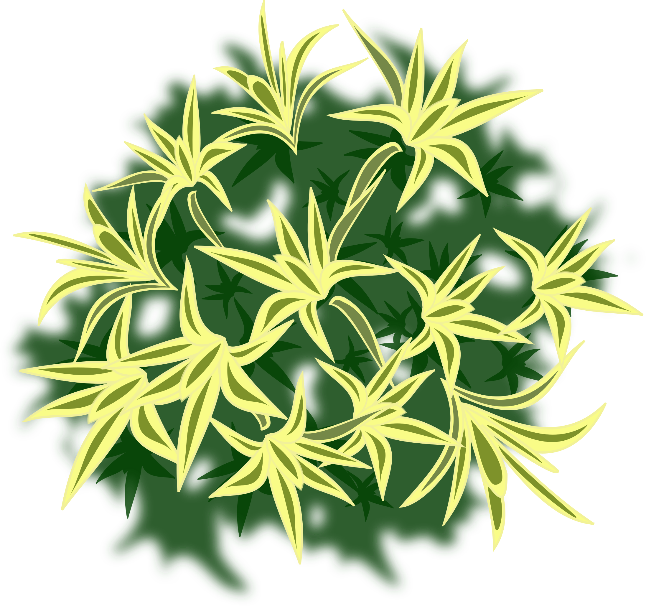 Memory Card - Top View Plants Png Clipart (2400x2400), Png Download