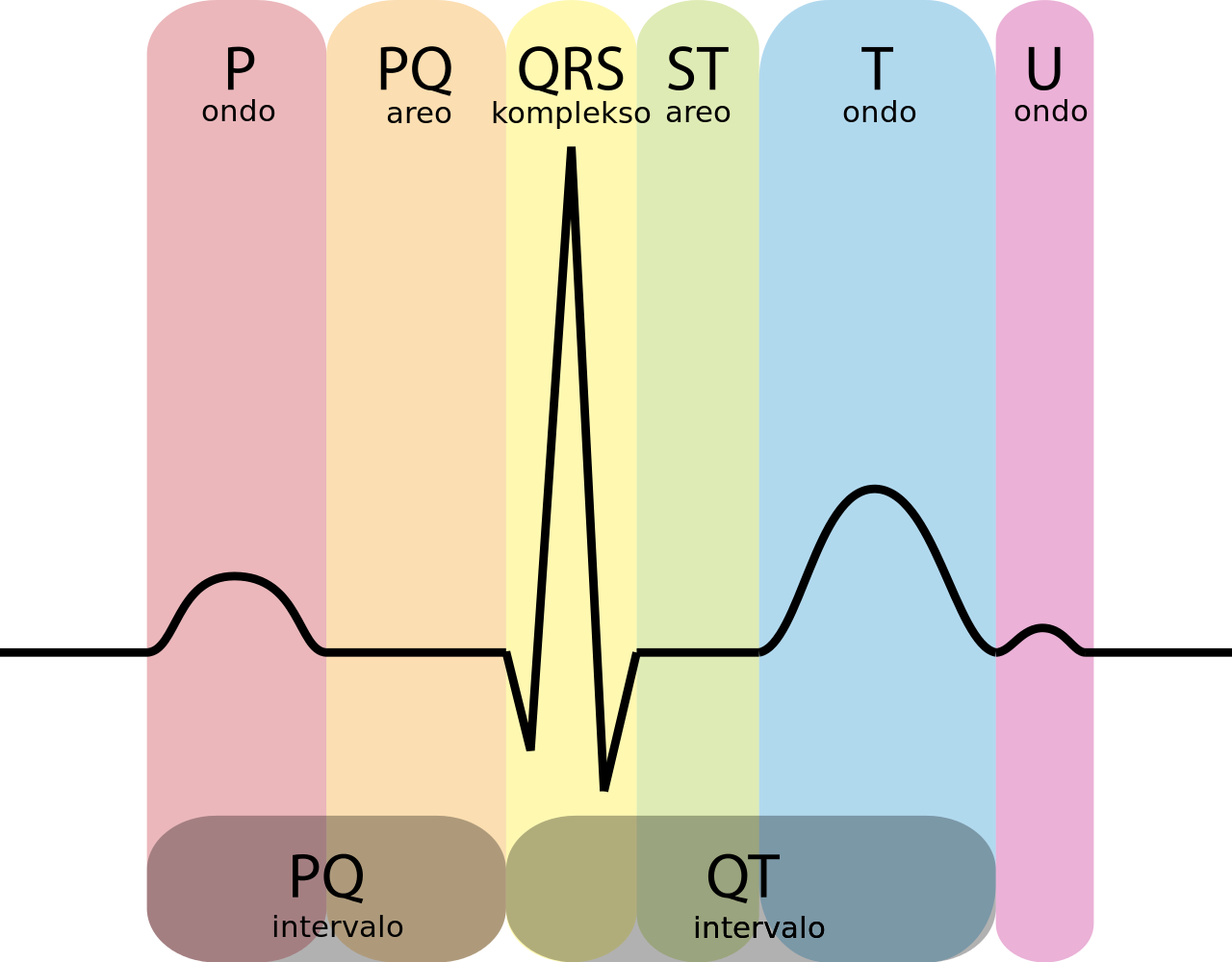 File - Ekg-komplekso Eo - Svg - Conduction System Of The Heart Ecg Clipart (1280x1000), Png Download