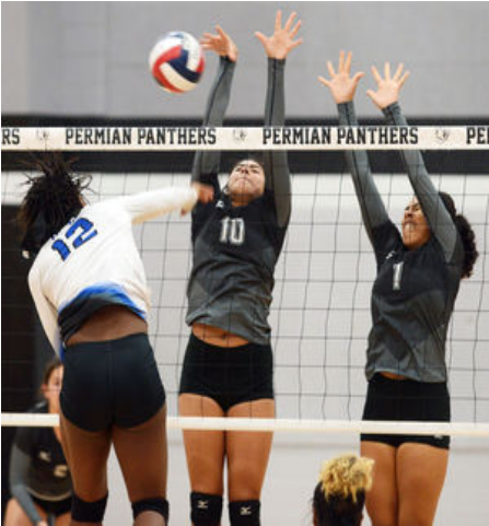 Photo - Volleyball Clipart (640x480), Png Download