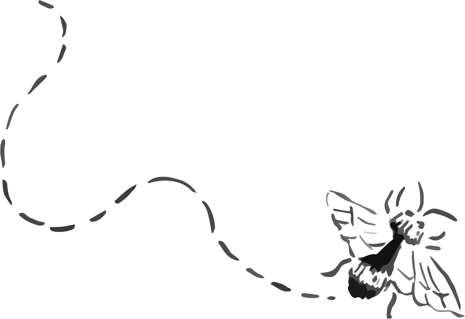 Honey Bee - Illustration Clipart (2085x1393), Png Download