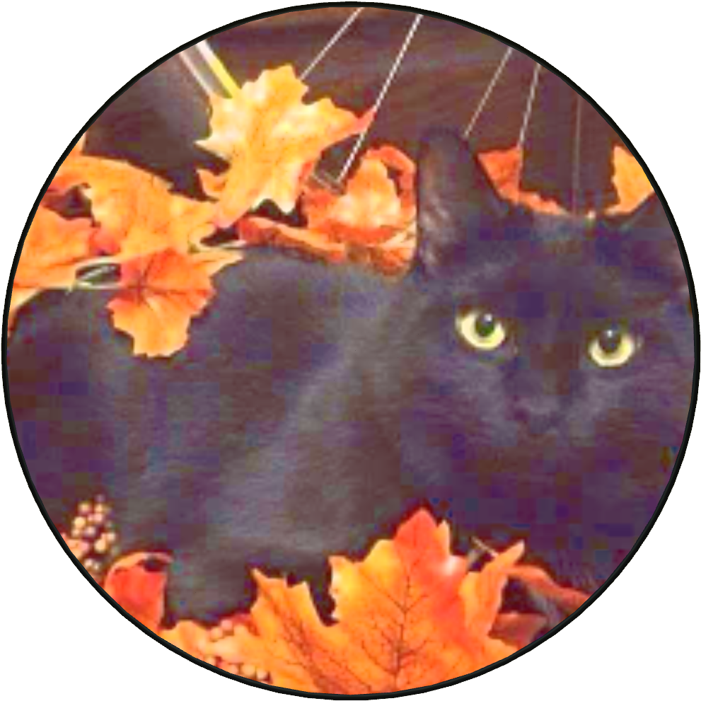 Black Cat Autumn , Png Download Clipart (991x991), Png Download