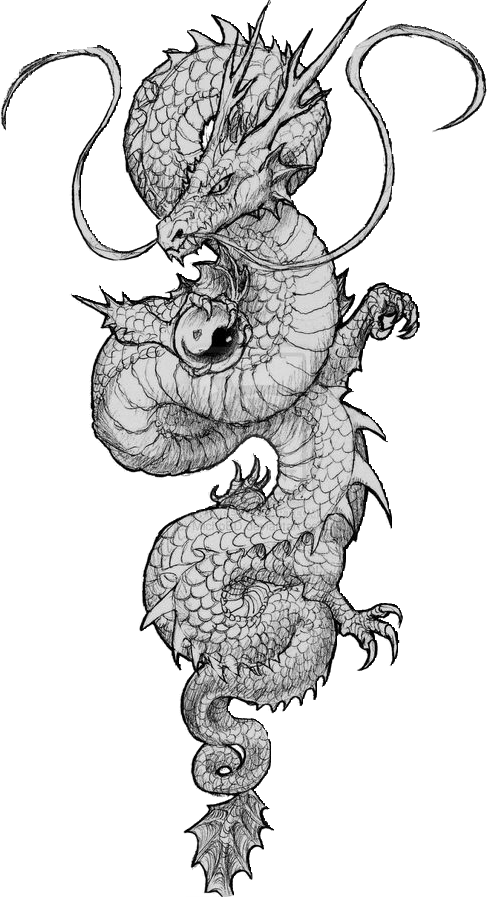 Dragon Tattoo Chinese , Png Download Clipart (487x897), Png Download