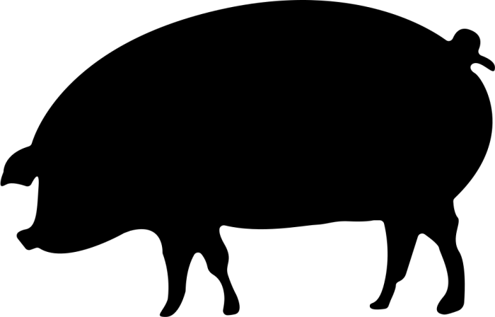 Pork Icon Png - Pork Png Clipart (700x448), Png Download