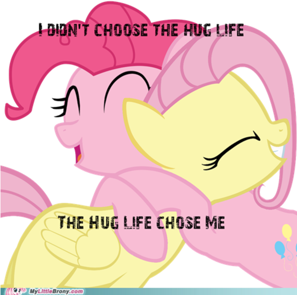 I Didn't Choose The Thug Life, The Thug Life Chose - My Little Pony Rarity Hugs Fluttershy Clipart (600x605), Png Download