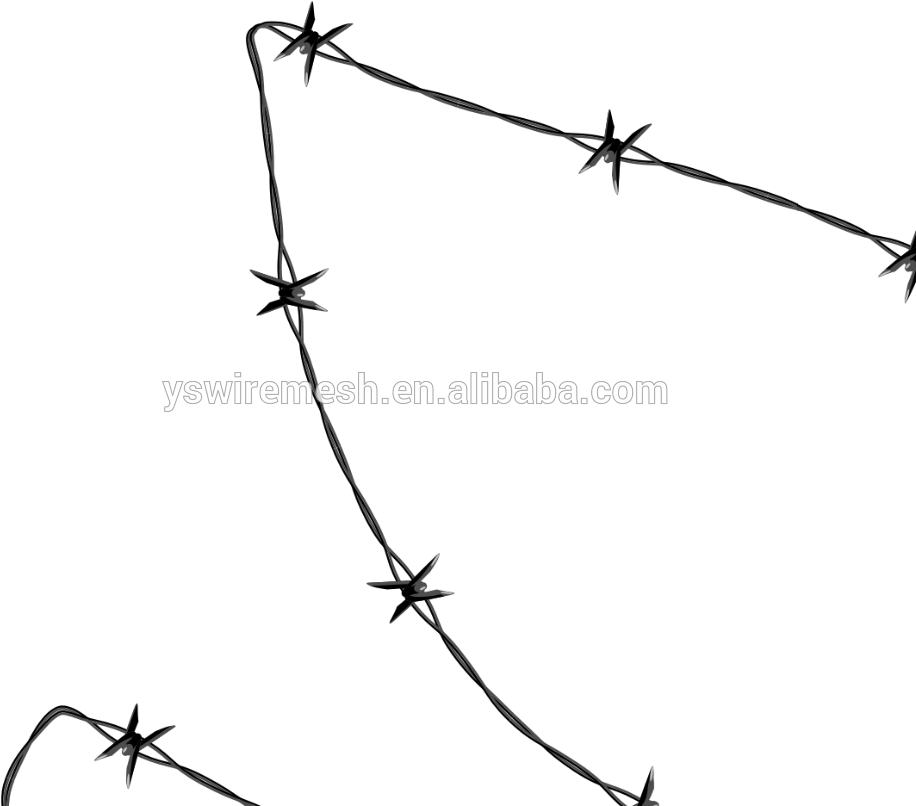 Barbed Wire - Barbed Wire Clip Art - Png Download (1000x805), Png Download
