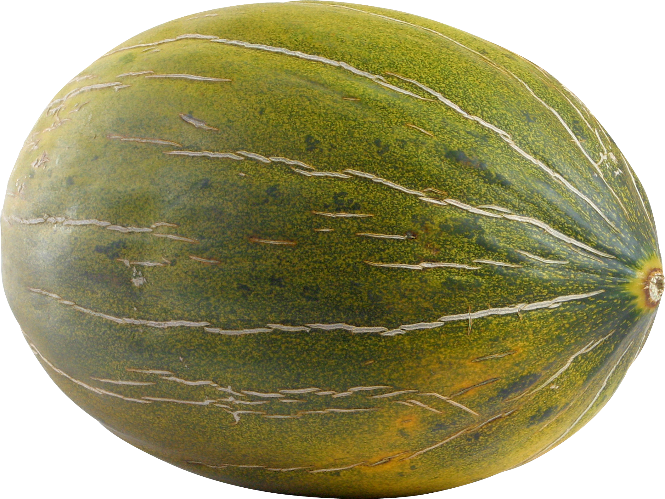 Melon Png - Transparent Melon Clipart (2113x1585), Png Download