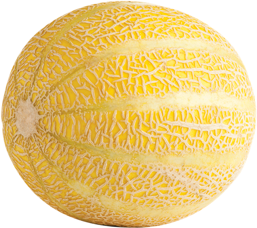 Lemon Drop Melon - Lemondrop Melon Clipart (600x533), Png Download